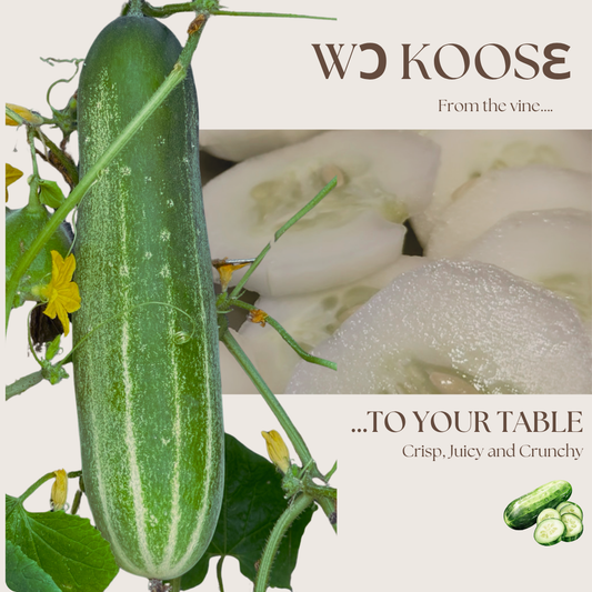 Straight Eight Cucumber